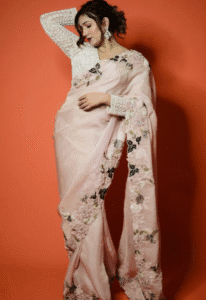 Sapna Choudhary ke Dance Shows – Kahan Hote Hain aur Ticket Kaise Book Karein?